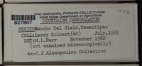 Image Associated With the Occurence